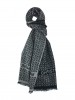 Scarf DQ-1