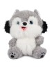 Pluszak Husky TOY-36